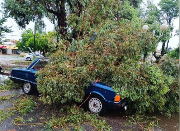 VOLADURA DE TECHOS, CAÍDA DE ÁRBOLES Y HASTA UN TORNADO EN MIRAMAR