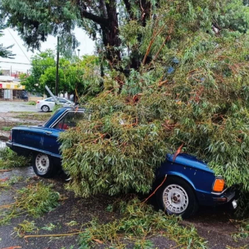 VOLADURA DE TECHOS, CAÍDA DE ÁRBOLES Y HASTA UN TORNADO EN MIRAMAR
