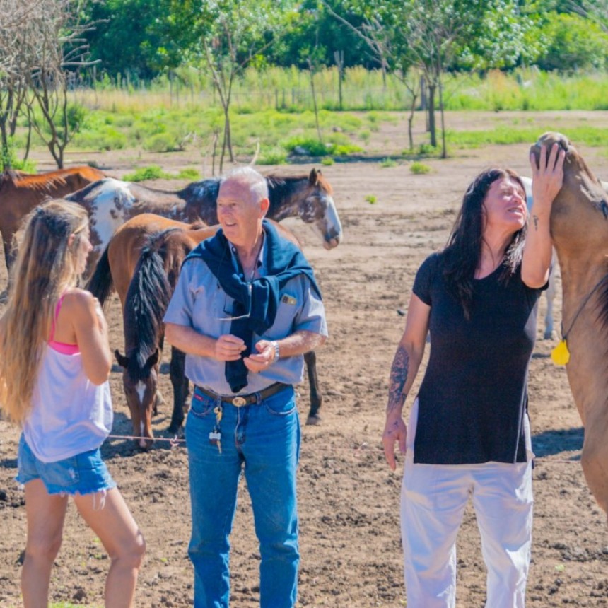 EN SAN FERNANDO LOS CABALLOS RESCATADOS DE LA TRACCIÓN A SANGRE FUERON VACUNADOS