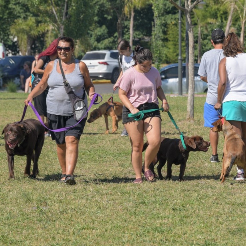 EN SAN FERNANDO VUELVE EL TALLER DE ADIESTRAMIENTO CANINO Y TENENCIA RESPONSABLE