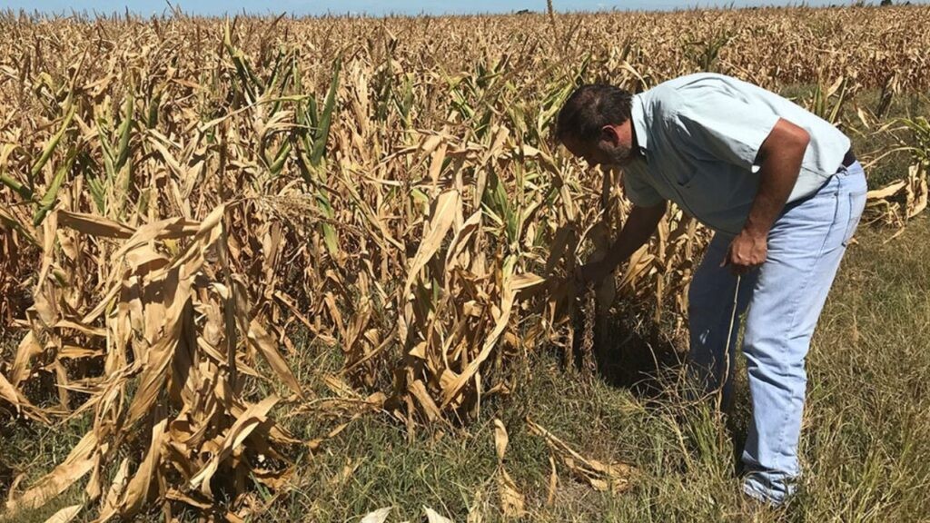 INMOBILIARIO RURAL: EL CAMPO PAGARÁ MENOS IMPUESTOS ESTE AÑO