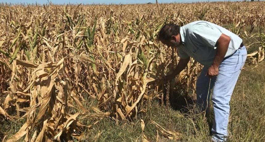 INMOBILIARIO RURAL: EL CAMPO PAGARÁ MENOS IMPUESTOS ESTE AÑO