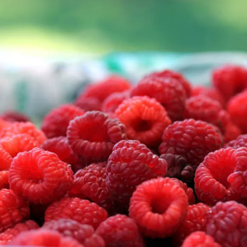 FIN DE SEMANA CON DURAZNO, TOMATE, FRAMBUESA, GIRASOL, CORVINA Y MUCHO DEPORTE