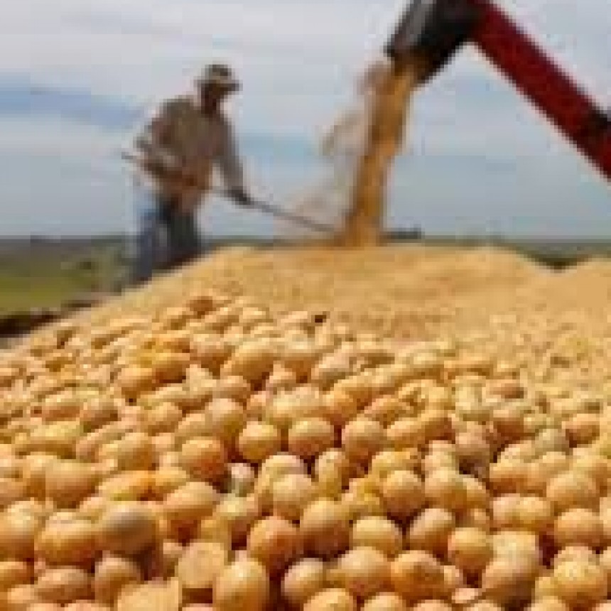 ASÍ QUEDO EL NUEVO REGIMEN DE RETENCIONES AL AGRO