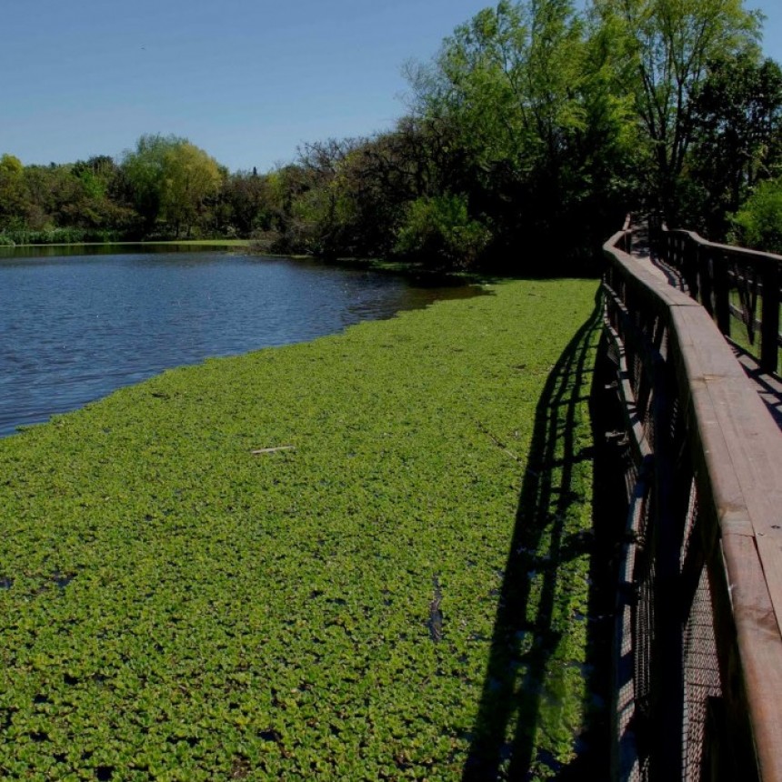 RESERVA ECOLÓGICA DE VICENTE LÓPEZ: NUEVO HORARIO PARA VISITARLA
