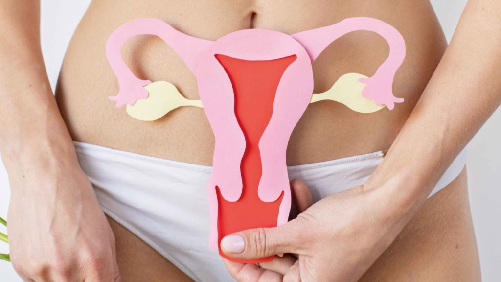 EL MUNICIPIO DE TIGRE REALIZARÁ UNA CAMPAÑA DE PREVENCIÓN CONTRA EL CÁNCER DE CUELLO DE ÚTERO 