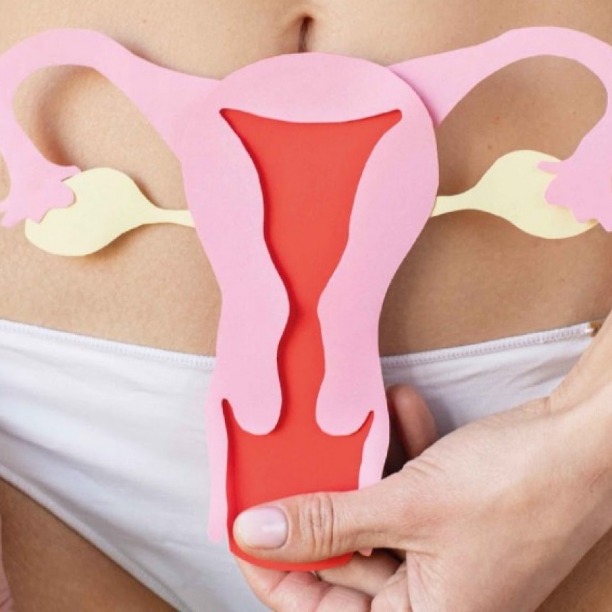 EL MUNICIPIO DE TIGRE REALIZARÁ UNA CAMPAÑA DE PREVENCIÓN CONTRA EL CÁNCER DE CUELLO DE ÚTERO 