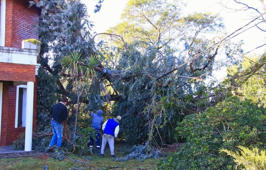EL TEMPORAL GENERÓ DESTROZOS Y CORTES DE LUZ EN VARIOS DISTRITOS DE LA PROVINCIA