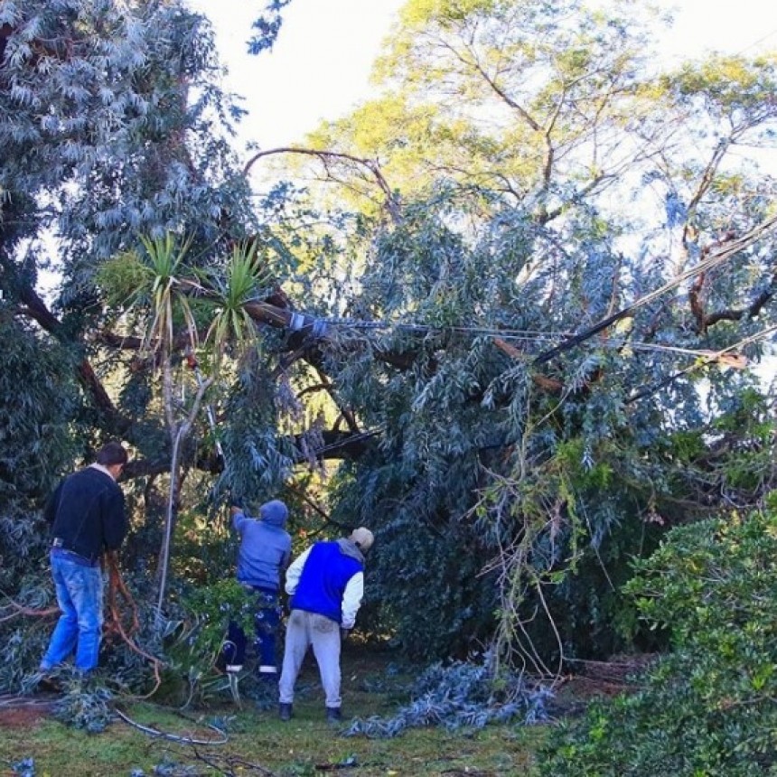 EL TEMPORAL GENERÓ DESTROZOS Y CORTES DE LUZ EN VARIOS DISTRITOS DE LA PROVINCIA