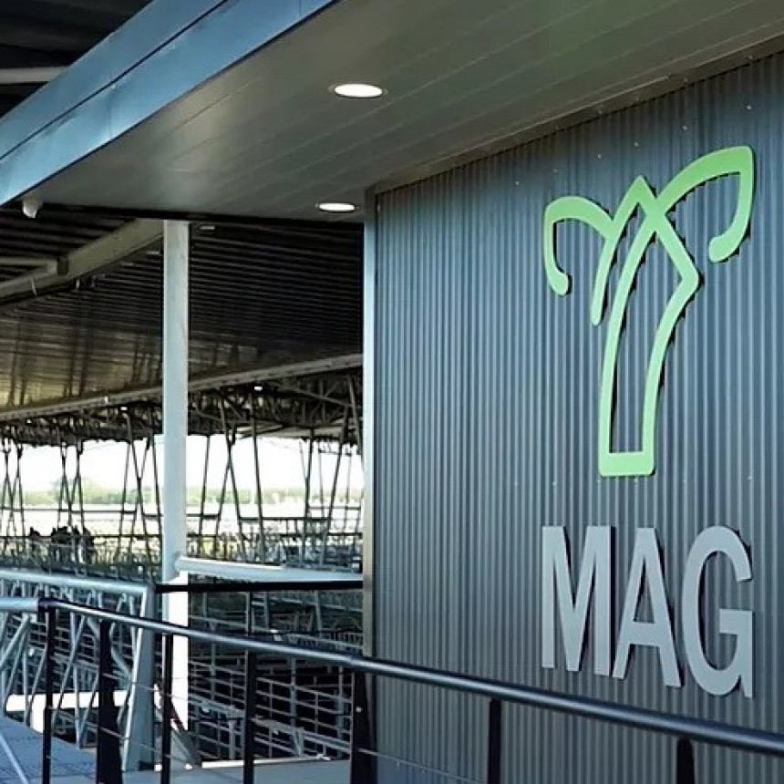 COMENZÓ A OPERAR EL MERCADO AGROGANADERO DE CAÑUELAS CON EL INGRESO DE MÁS DE 10.000 CABEZAS