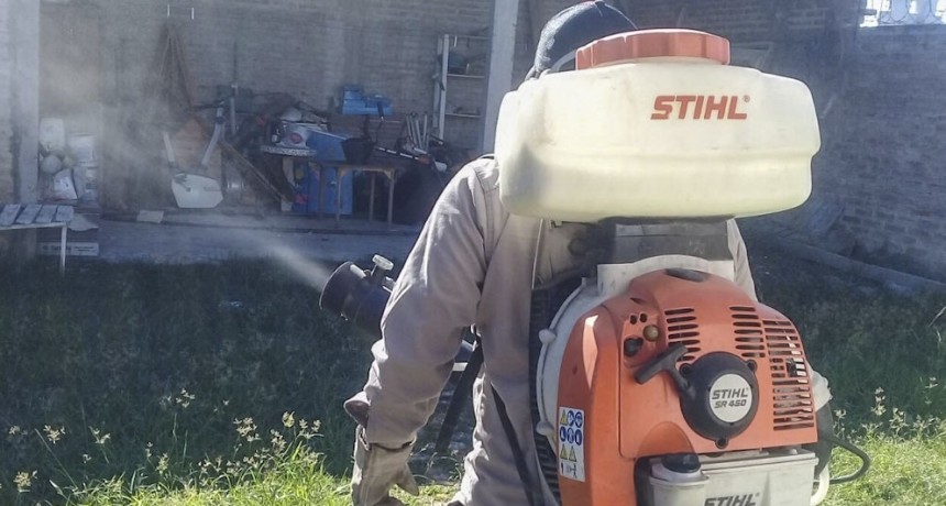 EN LA PLATA INTENSIFICAN LA FUMIGACIÓN POR EL DENGUE