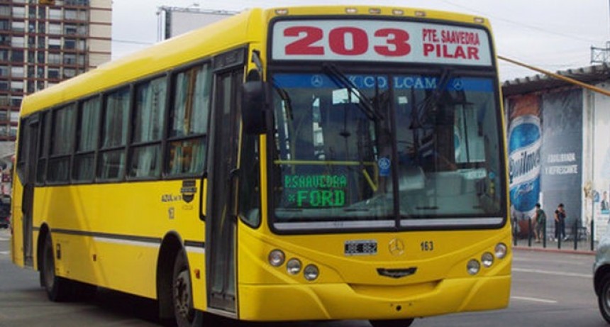PARO EN LA LÍNEA 203 DE COLECTIVOS POR AGRESIÓN A UN CHOFER