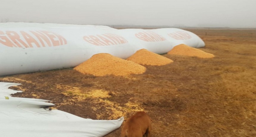 CONFEDERACIONES RURALES DENUNCIÓ CON QUE EL CAMPO SUFRE INSEGURIDAD EN TODO EL PAÍS