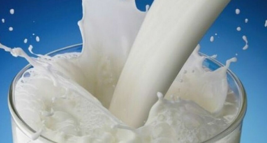 PROYECTO PREVÉ UNA REDUCCIÓN EN LA ALICUOTA DEL IVA A LA LECHE DEL 21% AL 10,5%