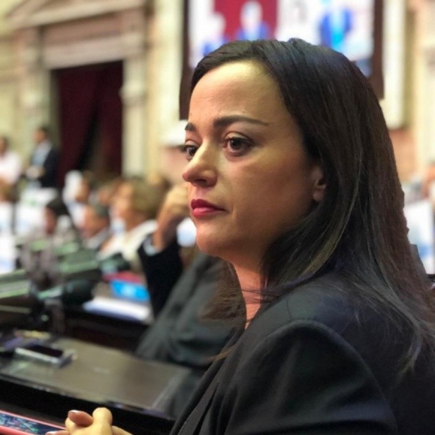 EL OFICIALISMO ESPERA APROBAR EN BREVE LA MEGA MORATORIA 2020