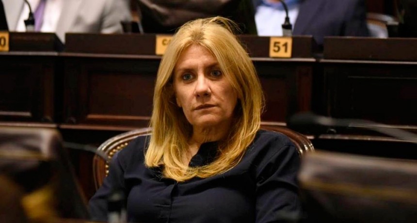 LA VICEPRESIDENTA DE LA UCR DIJO QUE EL PRO 