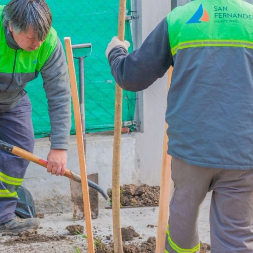 PLAN DE FORESTACION EN SAN FERNANDO