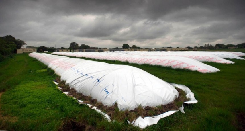 EL BCRA APROBÓ UN NUEVO INSTRUMENTO PARA INCENTIVAR AL SECTOR AGROEXPORTADOR A LIQUIDAR LA COSECHA