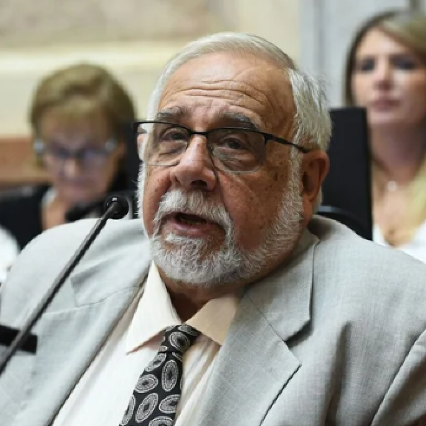 UN SENADOR DE MILEI PROPONE LEGALIZAR LA VENTA DE NIÑOS