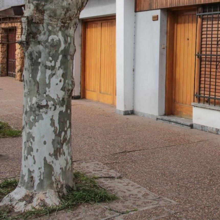 LA MUNICIPALIDAD DE 25 DE MAYO INICIÓ EL CENSO FORESTAL URBANO