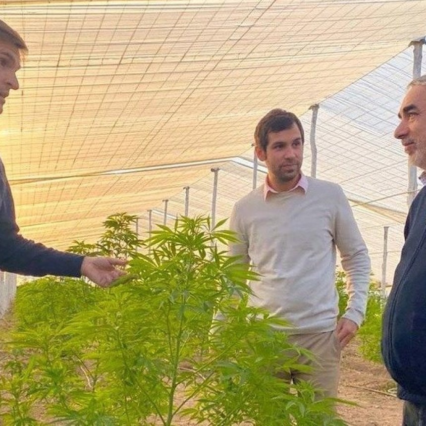 TRENQUE LAUQUEN FIRMARÁ CON JUJUY UN ACUERDO VINCULADO A LA PRODUCCIÓN DE CANNABIS MEDICINAL  