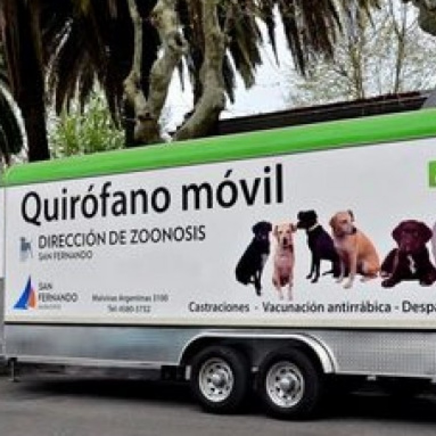 EN SAN FERNANDO ZOONOSIS REACTIVA SU ACTIVIDAD CON TURNOS TELEFÓNICOS