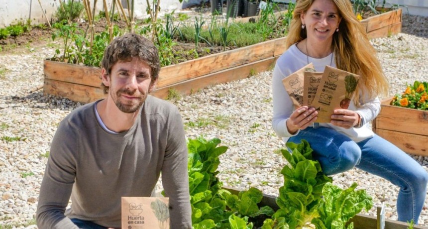 EN SAN FERNANDO 4TA EDICIÓN DE “HUERTA EN CASA” PARA OBTENER SEMILLAS DE TEMPORADA