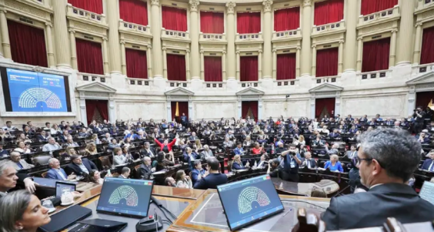   DIPUTADOS RECHAZÓ EL VETO DEL EJECUTIVO A LAS LEYES DE FINANCIAMIENTO EN PEDIATRÍA Y UNIVERSITARIO