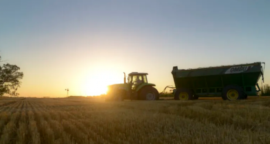 EL GOBIERNO SIN RESULTADOS ECONÓMICOS ELIMINARÁ LAS RETENCIONES A LOS GRANOS HASTA EL 31 DE OCTUBRE