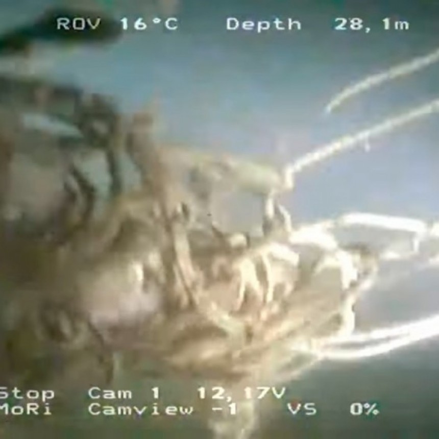 NECOCHEA: HALLARON RESTOS QUE PODRÍAN SER DE UN SUBMARINO ALEMÁN