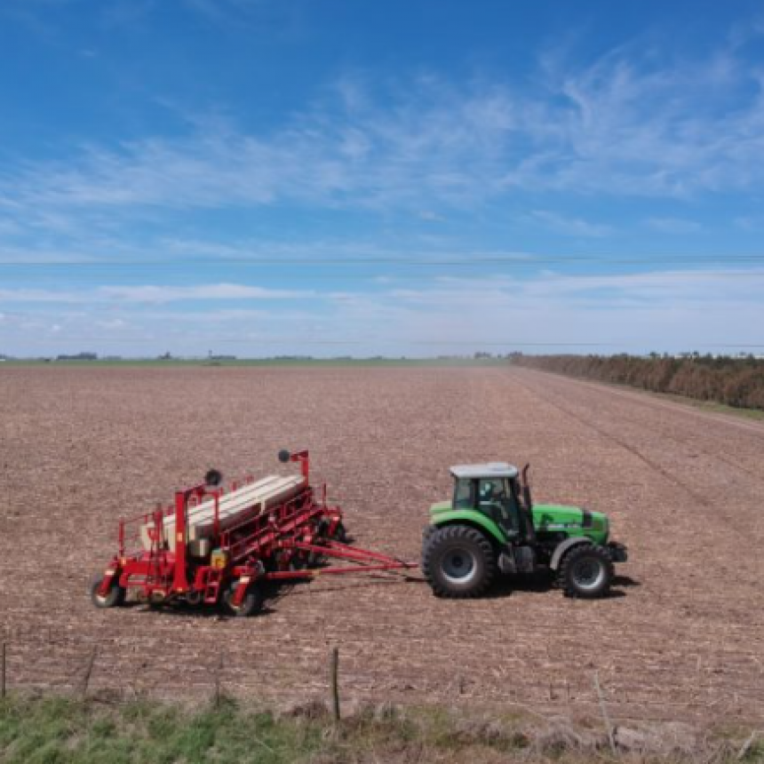 AYUDARÁN A PRODUCTORES QUE SIEMBREN HASTA 400 HECTÁREAS DE SOJA Y 100 DE MAÍZ