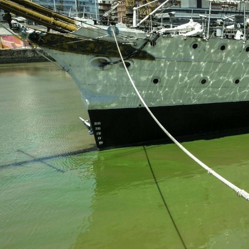 AMBIENTE ANALIZA TOXICIDAD DEL AGUA EN TIGRE POR NIVELES 