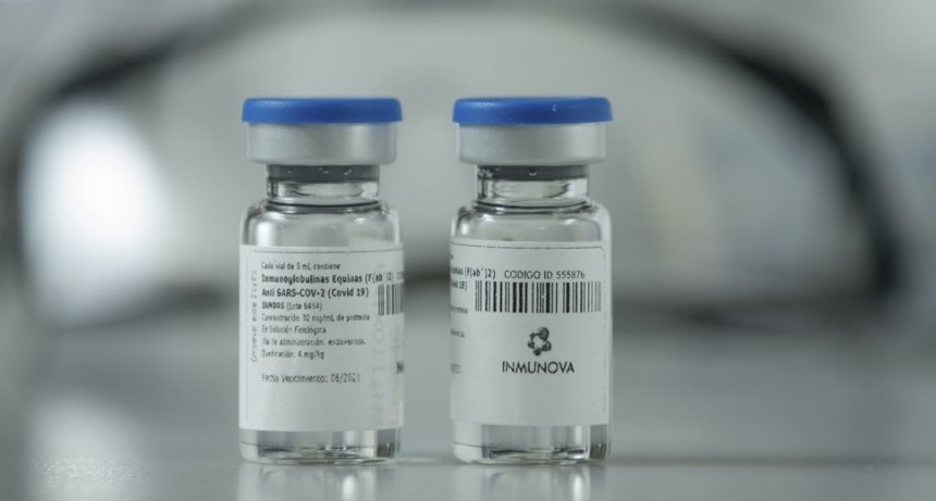 LA ANMAT AUTORIZÓ EL SUERO EQUINO PARA EL TRATAMIENTO DE CORONAVIRUS