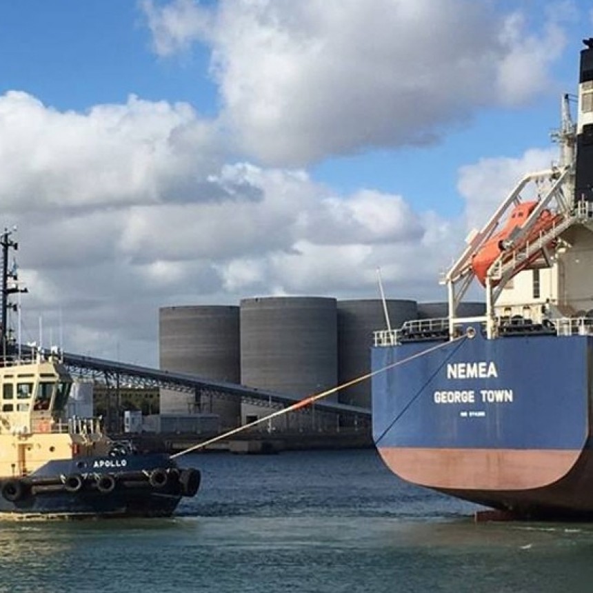 TRAS EL PARO, DECENAS DE BARCOS INGRESAN A LOS PUERTOS DE ROSARIO Y BAHÍA BLANCA