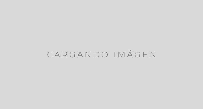 ROBERT PREVOST ES EL SUCESOR DE FRANCISCO Y SE LLAMA LEÓN XIV